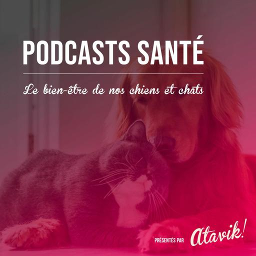 Le surpoids chez le chien et le chat, un sujet de taille?