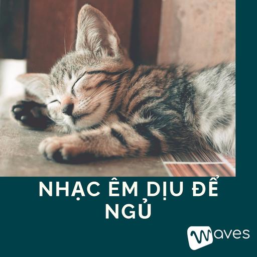 Nhạc rừng, chim và suối chảy sâu lắng nhẹ nhàng cho giấc ngủ