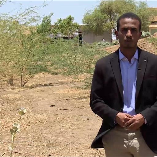 الاقتصاد والناس-المسكيت.. شجرة تهدد الماء والزراعة بالسودان