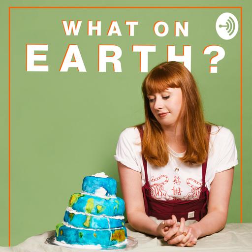 Can you do a sustainable Christmas?
