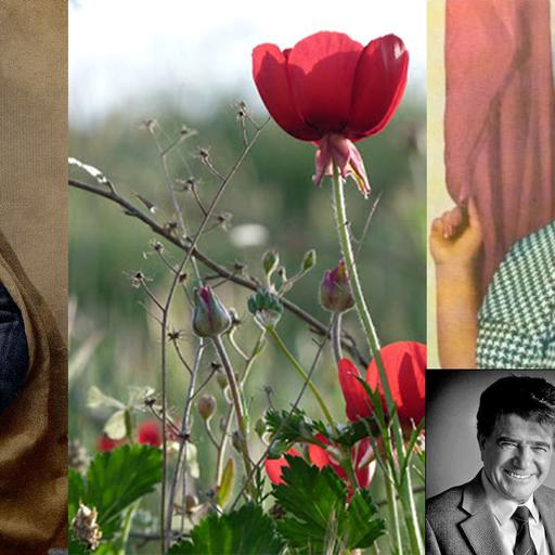 قسمت سیزدهم – از خون جوانان وطن لاله دمیده