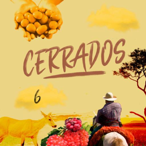 Conhecer para cuidar (Ep 06 / 1ª Temporada)