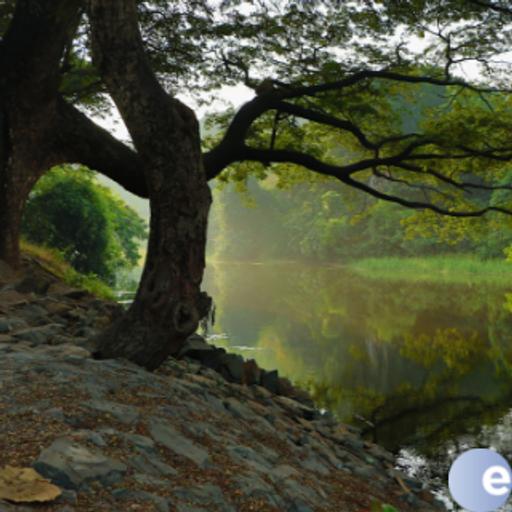 Lord, I Trust In You