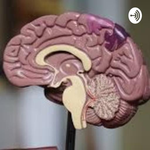 Desarrollo Ontogenetico del Cerebro