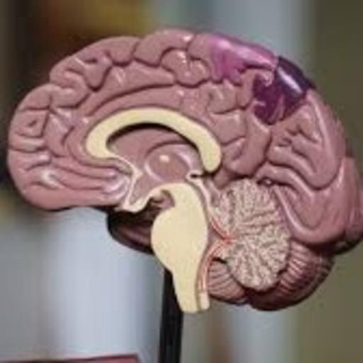 Neuropsicología de los trastornos psiquiátricos de la conducta inadaptada o disruptiva. PARTE 2