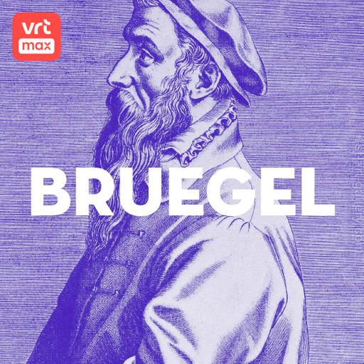 8. Bruegel en het klimaat van zijn tijd