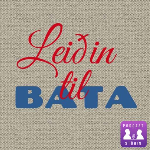 Leiðin til bata #27