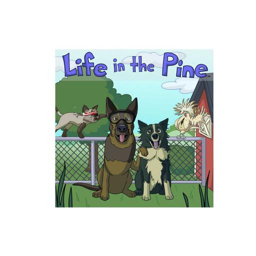 Episode 5 Operation Cat Snatcher