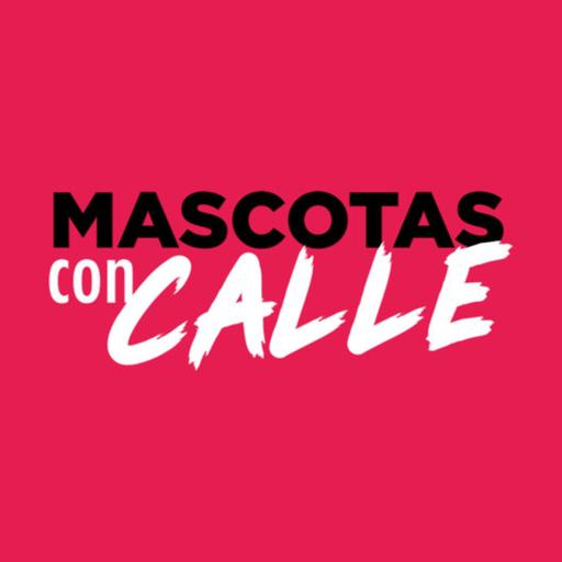 Obligaciones de los guardianes