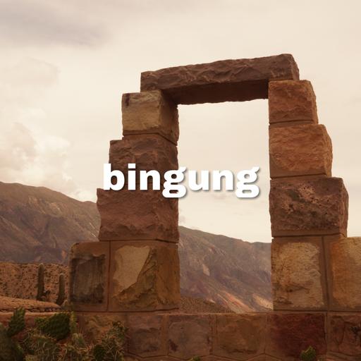 bingung