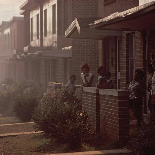 How is pollution connected to race and inequality? | terrestrial