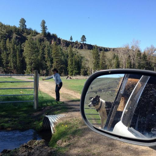 Would you trust the feds to make decisions about your land? | terrestrial