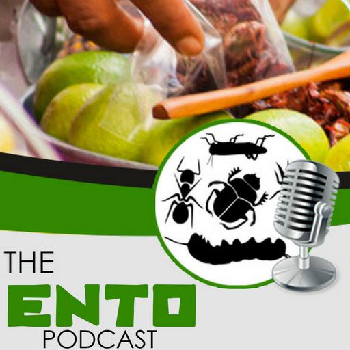 Eat Grub the Ultimate Insect Cookbook Review