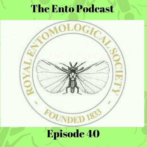 Episode 40 - The Ento Podcast IAFF Conference