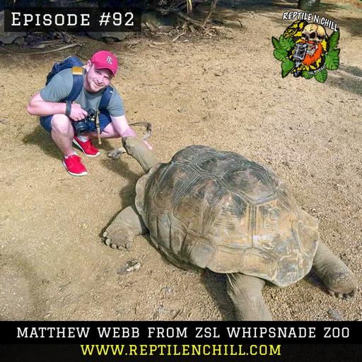 Matthew Webb from ZSL Whipsnade Zoo, Covid-19 zoo related issues - 92 Reptile n Chill