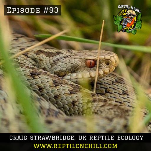 Craig Strawbridge, UK Reptile Ecology - 93 Reptile n Chill