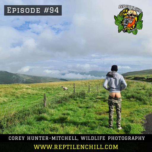 Cory Hunter-Mitchell, Wild Life Photographer- 94 Reptile n Chill