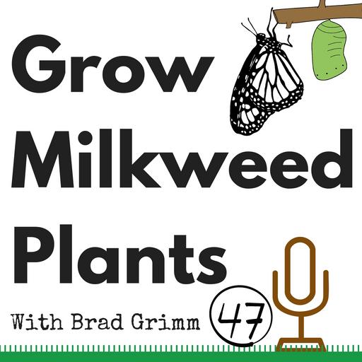 GMP 47: RIP Tropical Milkweeds