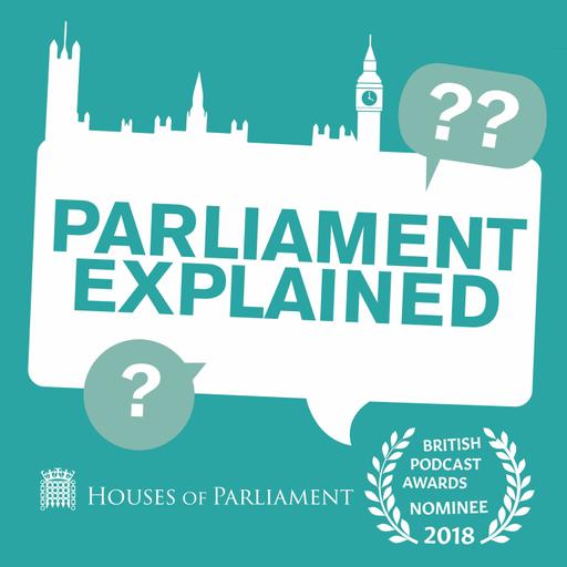 Episode 2 - What Happens in Parliament?