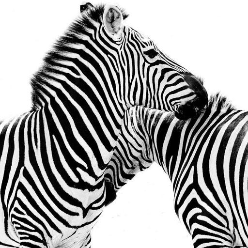 Breathe by Eversun (01)