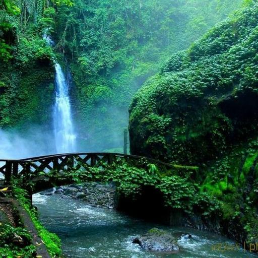 ======Kata Kehidupan, Kabar baik, injil Lagu－di Indonesia Bahasa (Termasuk dialek dan Etnis Bahasa)=====