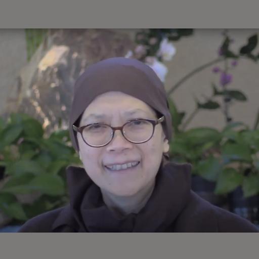 2020-10-21 Deer Park 20th Anniversary Retreat - Sister Huong Nghiem Dharma Talk