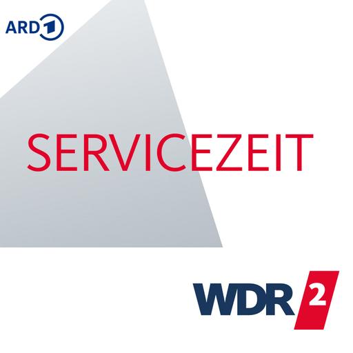 Kaminöfen umrüsten