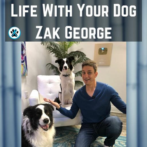 New Dog Tips with Zak George Dog Training Revolution