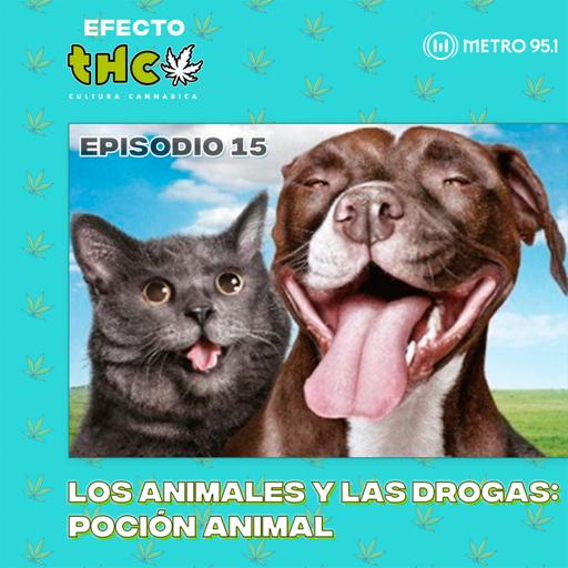 Los animales y las drogas: poción Animal