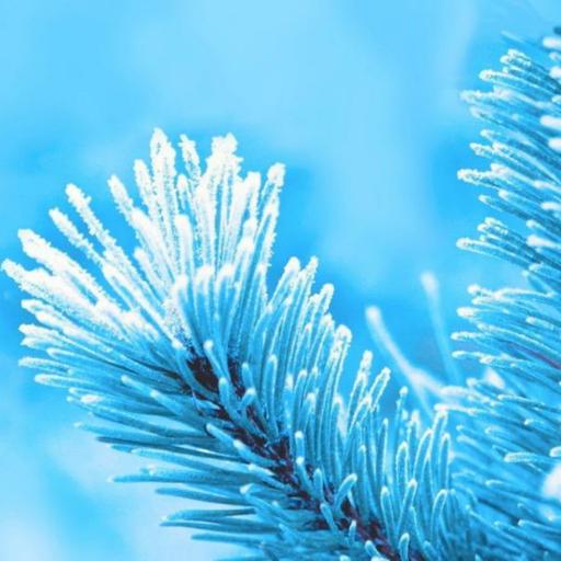 Balance del Chakra 5 Vishuda Garganta Azul Ether