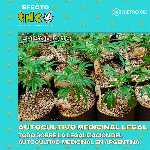 Autocultivo medicinal legal: nueva reglamentación