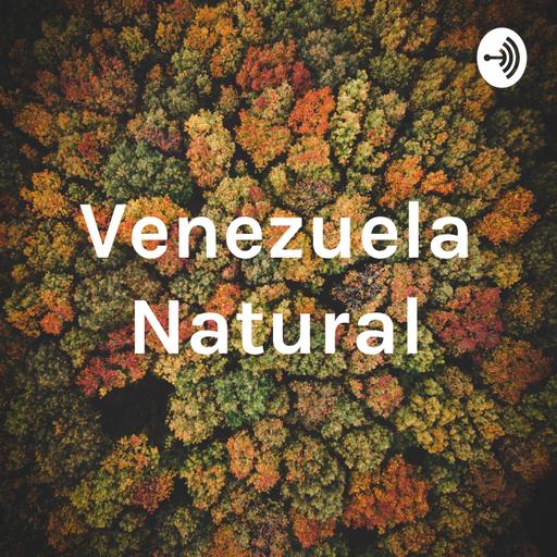 El bosque deciduo venezolano