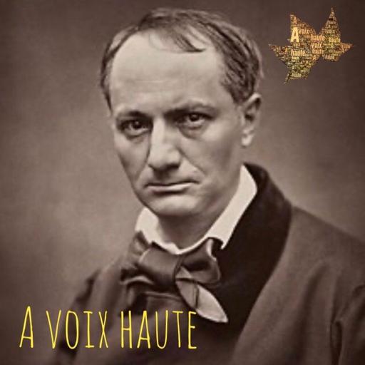Charles Baudelaire - L'albatros - Yannick Debain