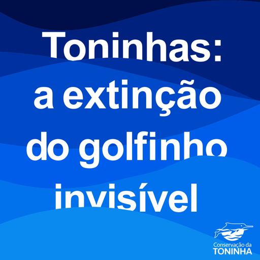 6. Respostas levam a perguntas