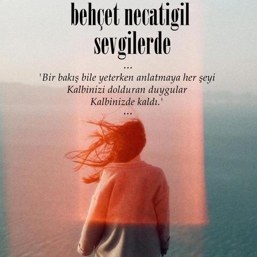 Behçet Necatigil - Sevgilerde