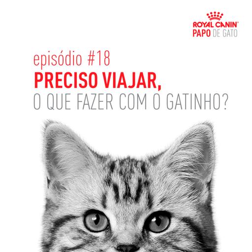 Preciso viajar, o que fazer com o gatinho?