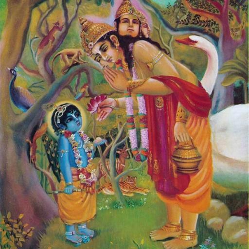 Bhagavad Gita Chapter 1 (Hindi)