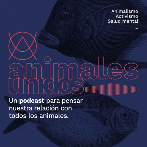 Personas Ratas: ¿cómo son realmente los animales que son utilizados para experimentación? - con Jime Ortega