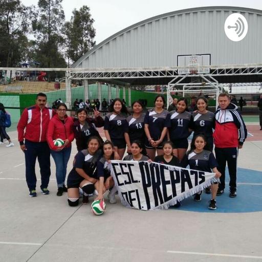 Liga femenil mexicana de voleibol y sus campeonatos.
