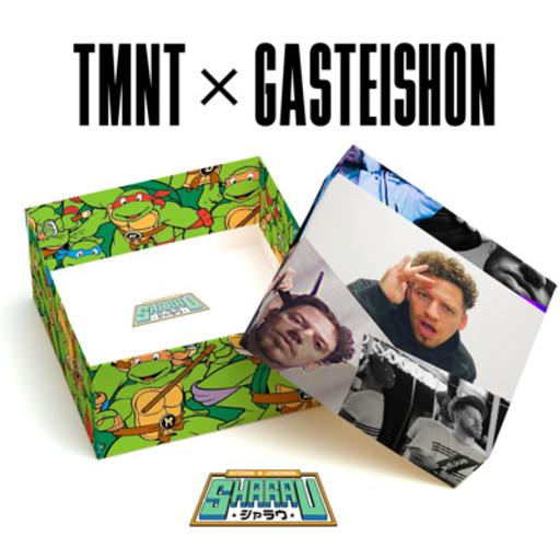 TMNT X Gasteishon