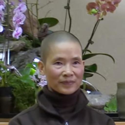 2020-10-22 DP 20 Yr Retreat Guided Meditation - Sr Le Nghiem - EN&VN