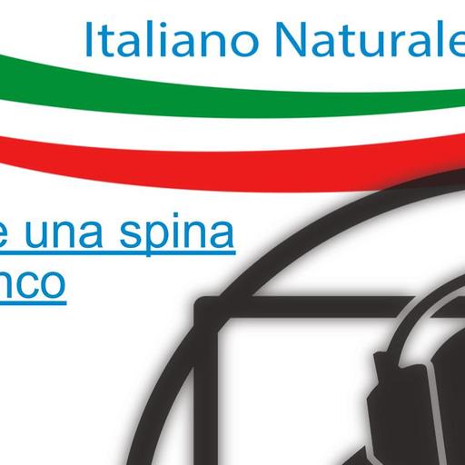 Essere una spina nel fianco