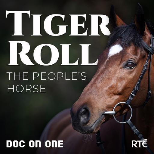 Trailer: Introducing 'Tiger Roll: The People's Horse'