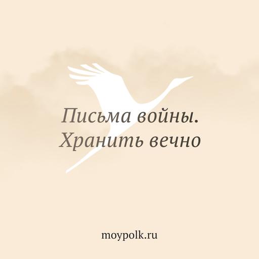 История лётчика Гришина