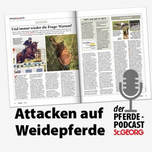 Podcast: Tote Weidepferde - der Fall Ragazza und eine engagierte Pferdefrau