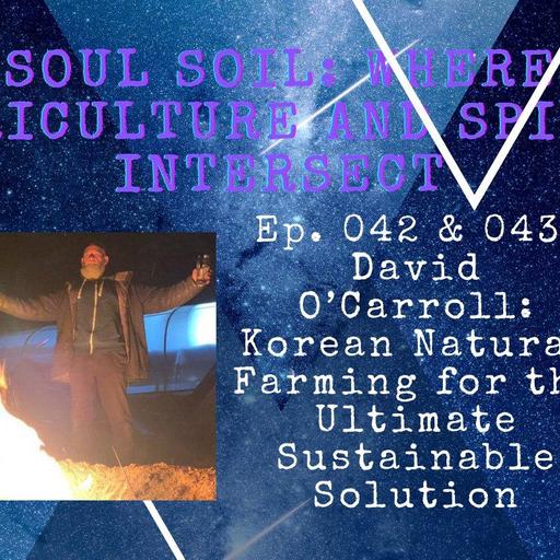 042, David O'Carroll: Korean Natural Farming for the Ultimate Sustainable Solution