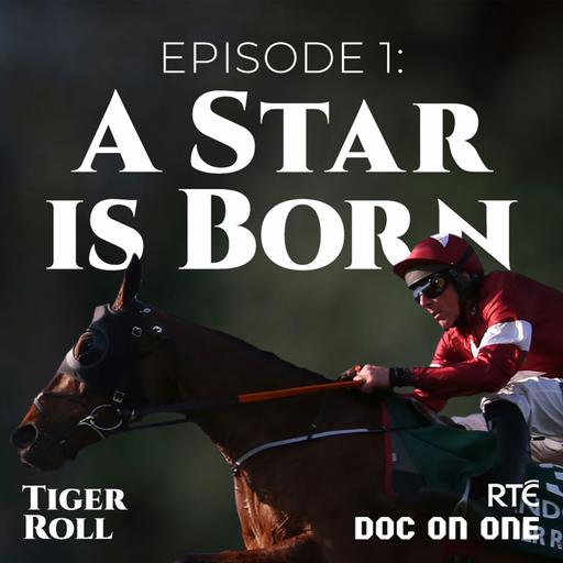 Tiger Roll: The People's Horse - Ep1 - A Star is Born