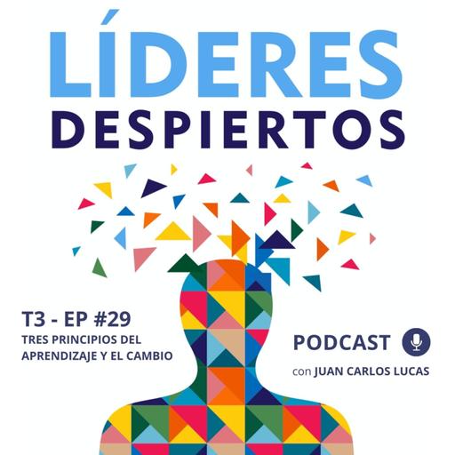 #29 Tres principios del aprendizaje y el cambio