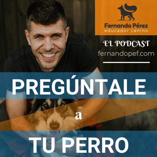 Episodio 210 - El entrenamiento con clicker