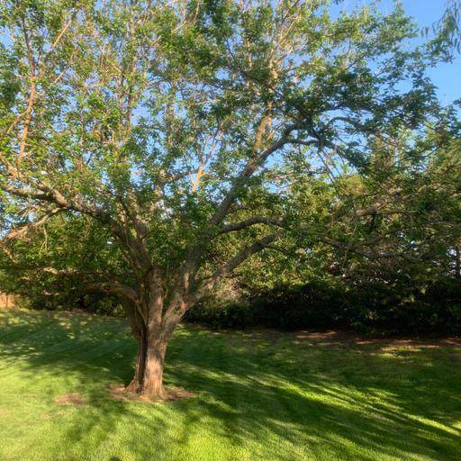 Episode 129: April Fool's Day